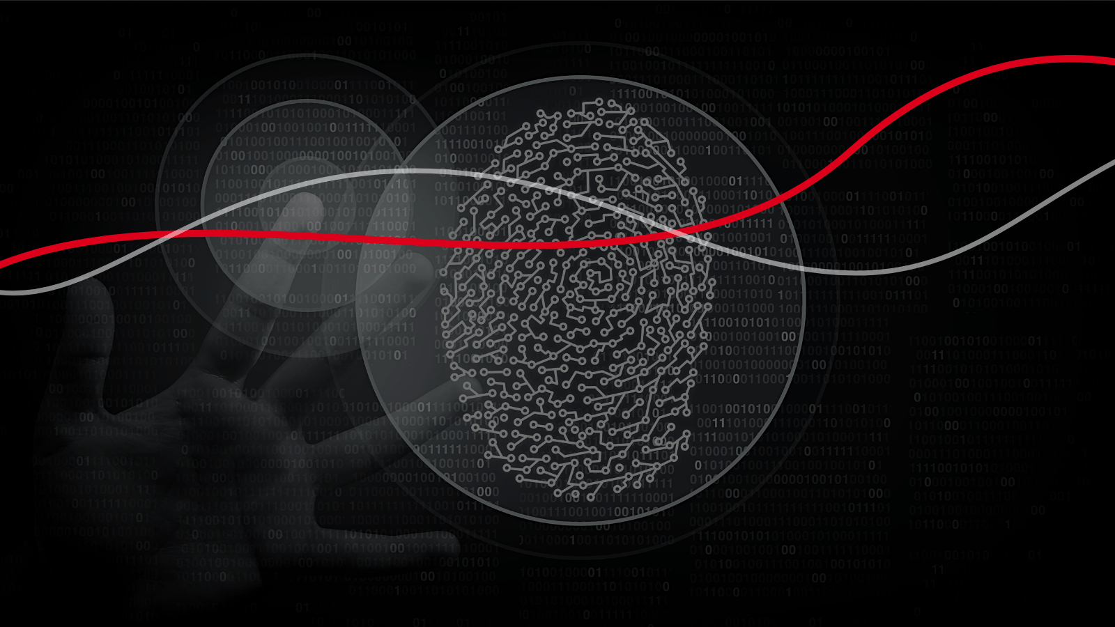 Biometric Authentication